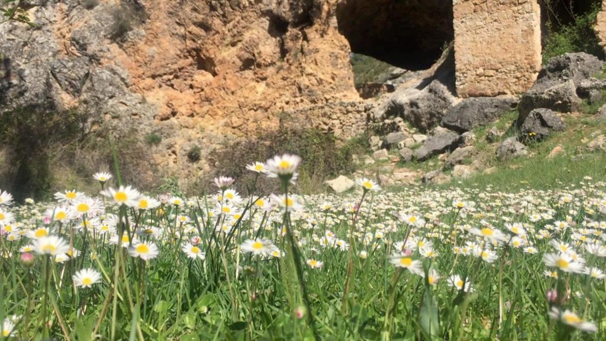La Escapada Cuenca Villa Pajaroncillo Kültér fotó